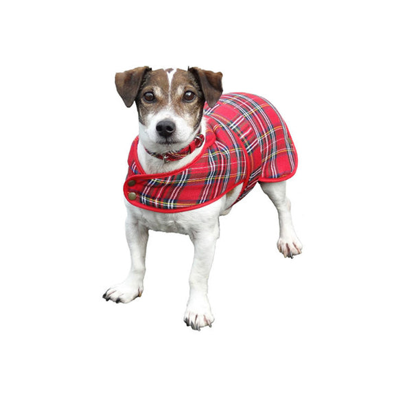 red plaid dog coat, Royal Stewart tartan