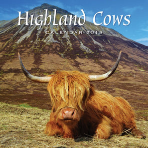 Highland Cows 2020 Calendar