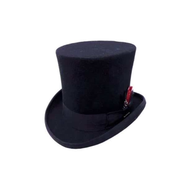 Feathered Wool Top Hat